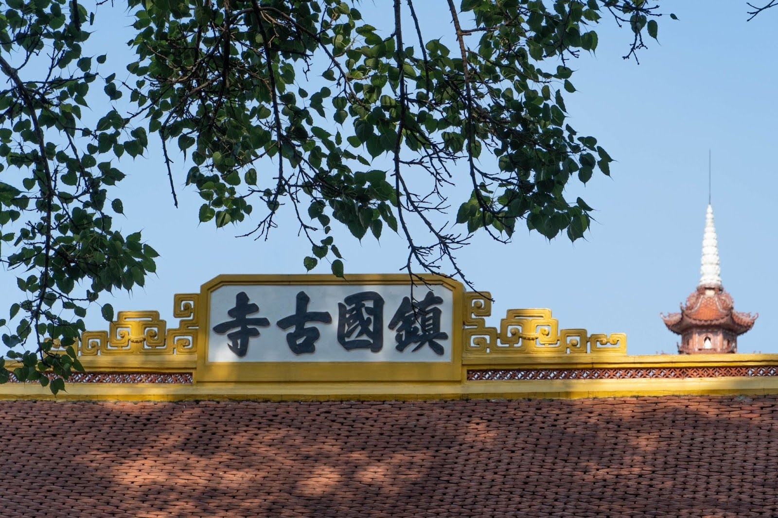 3 q