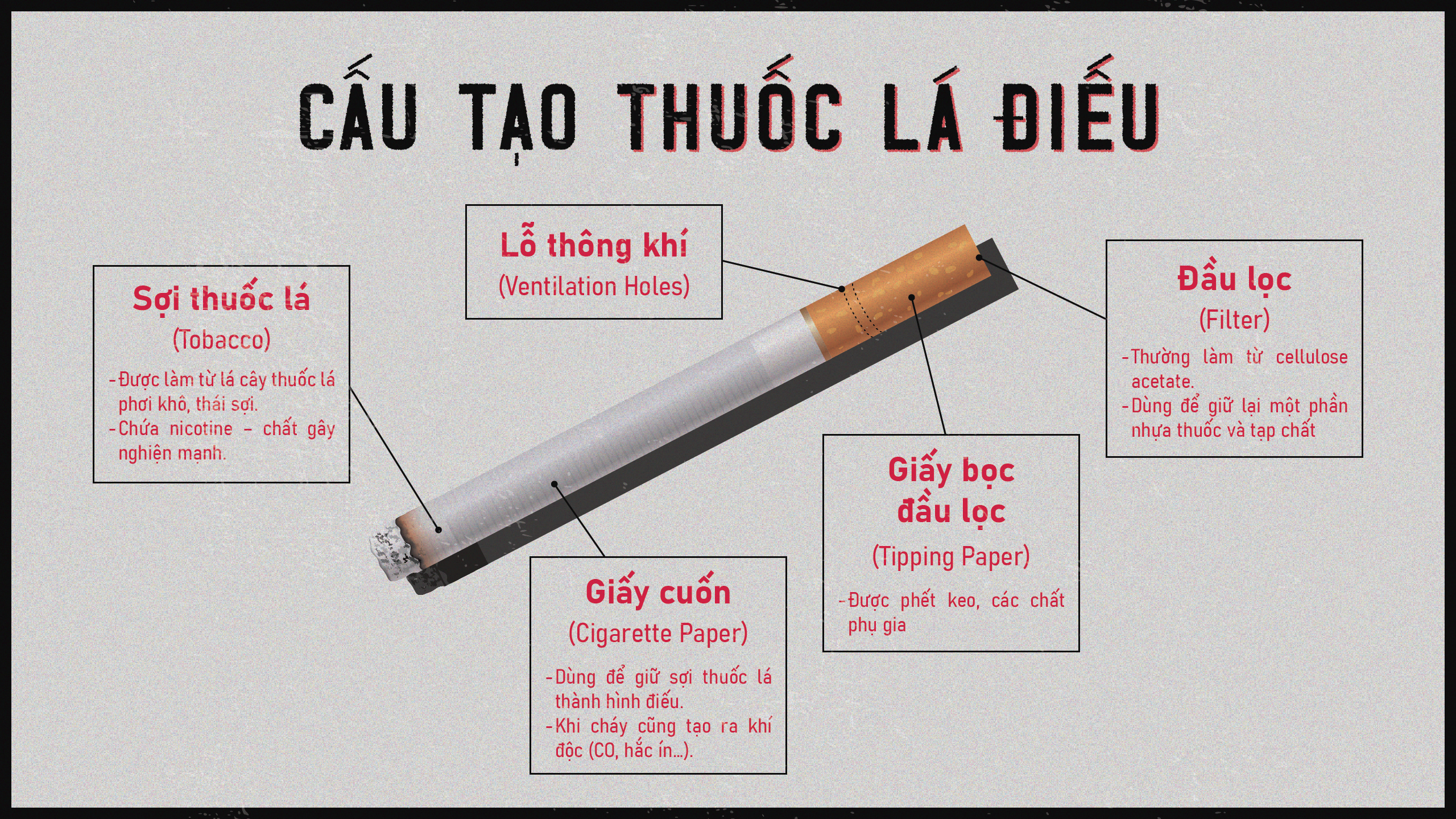 11. Cấu tạo thuốc lá