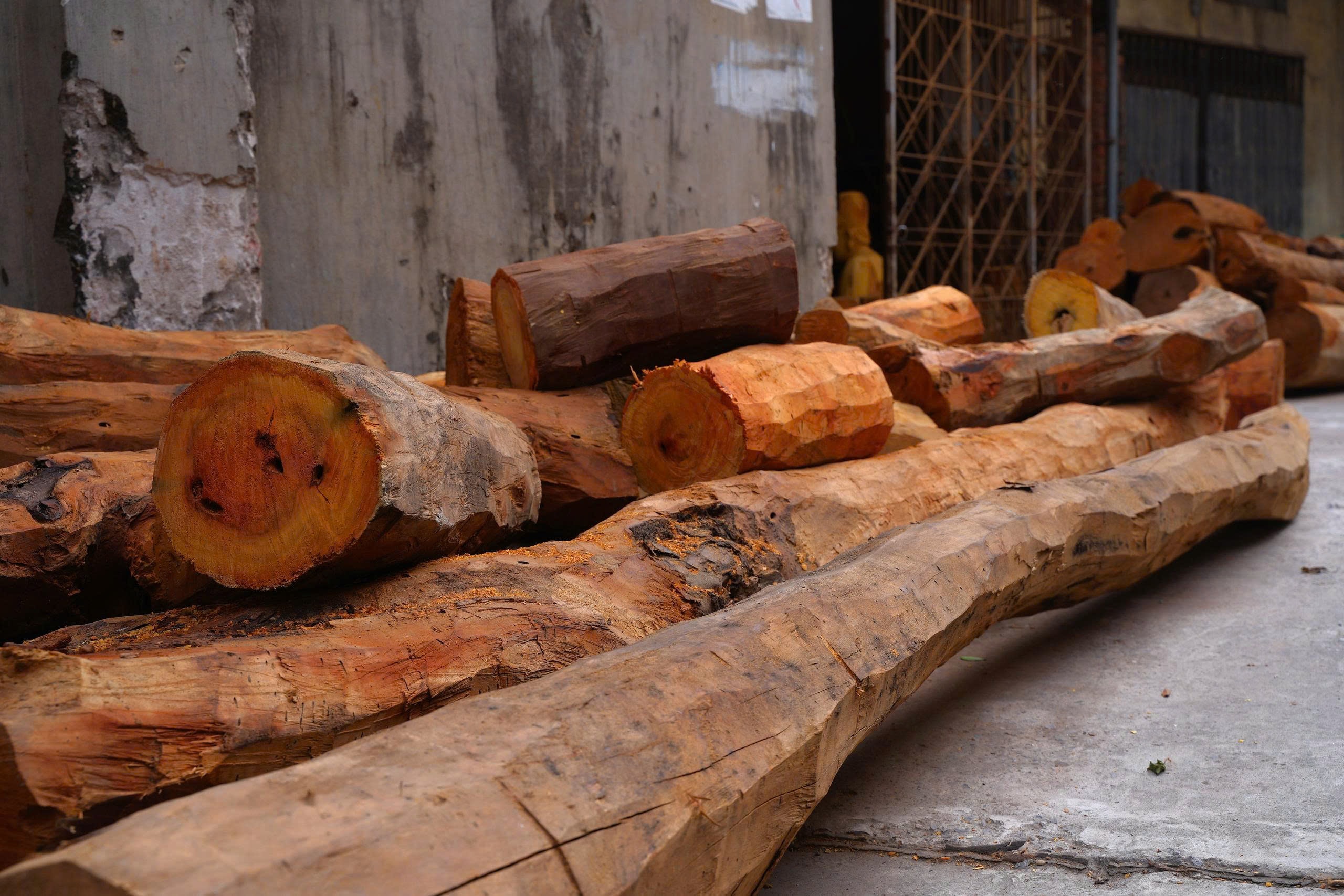 lang_nghe_son_dong (6)