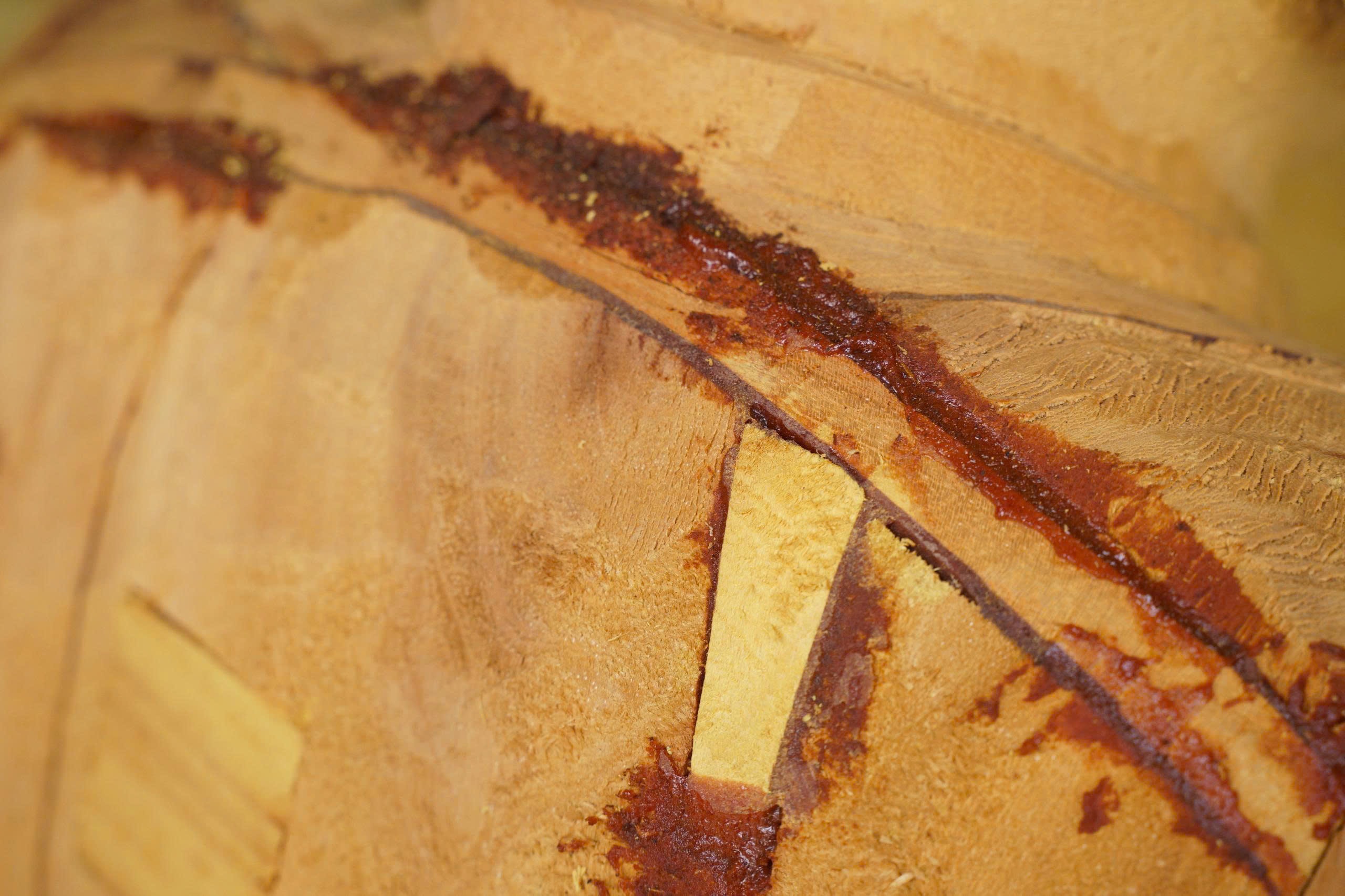 lang_nghe_son_dong (9)