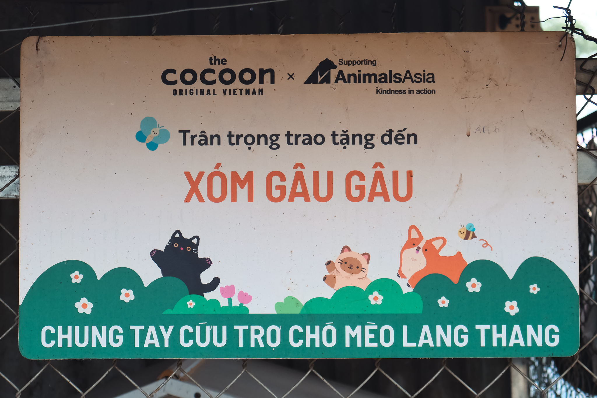 xom-gau-gau-cuu-ho-cho-meo-ha-noi.jpg