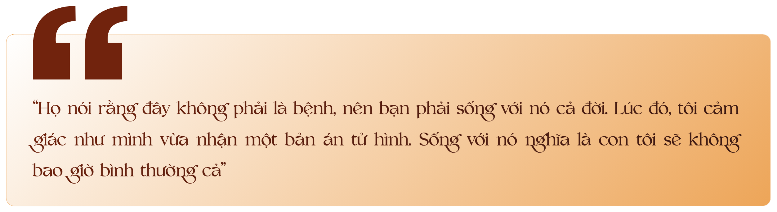 multimedia(1).png