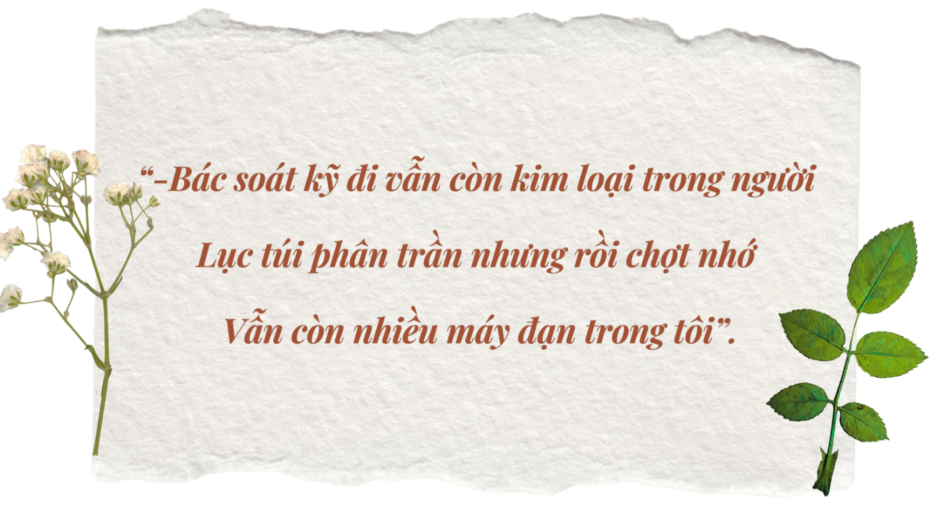 ttdpt-9-(1).png