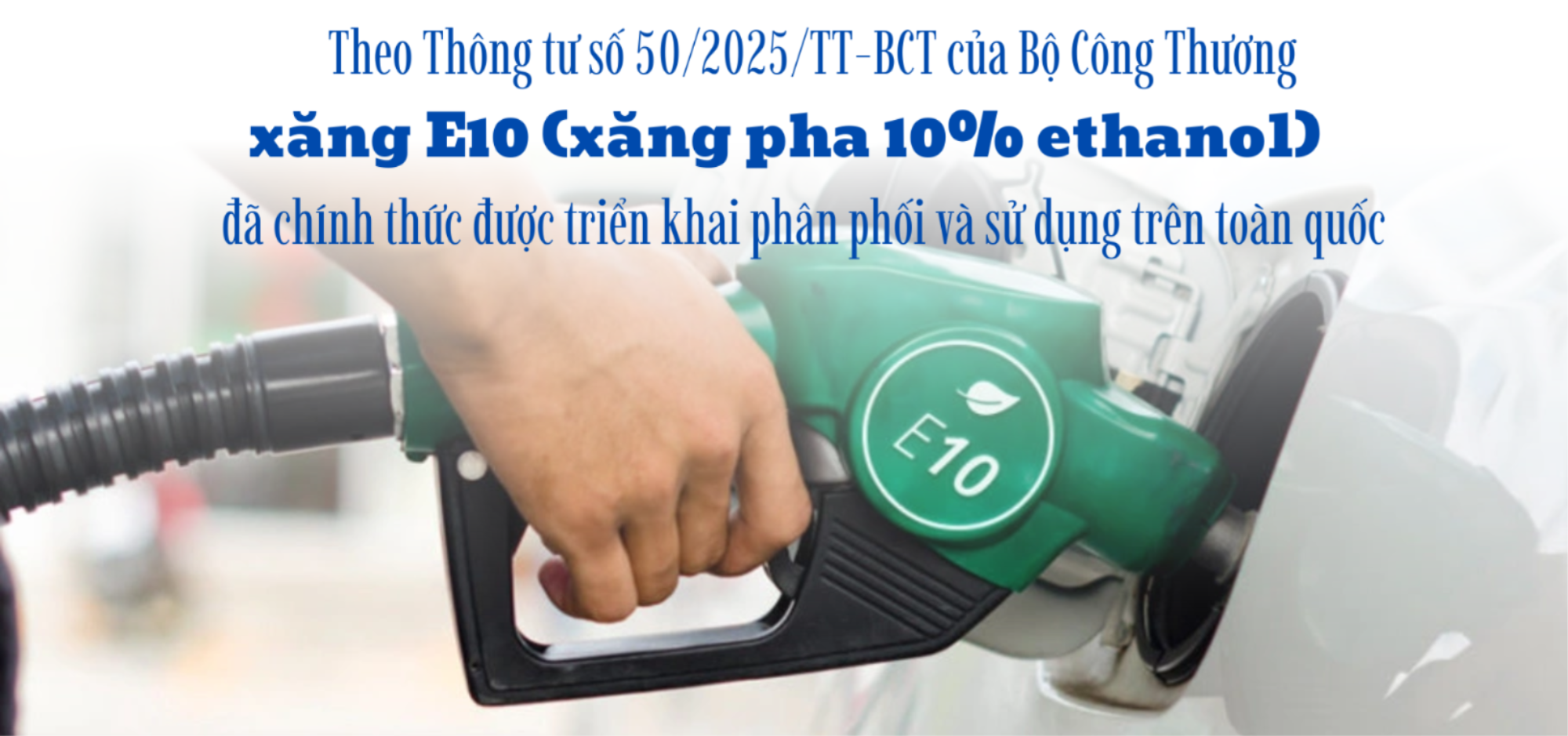 anh-13(1).png