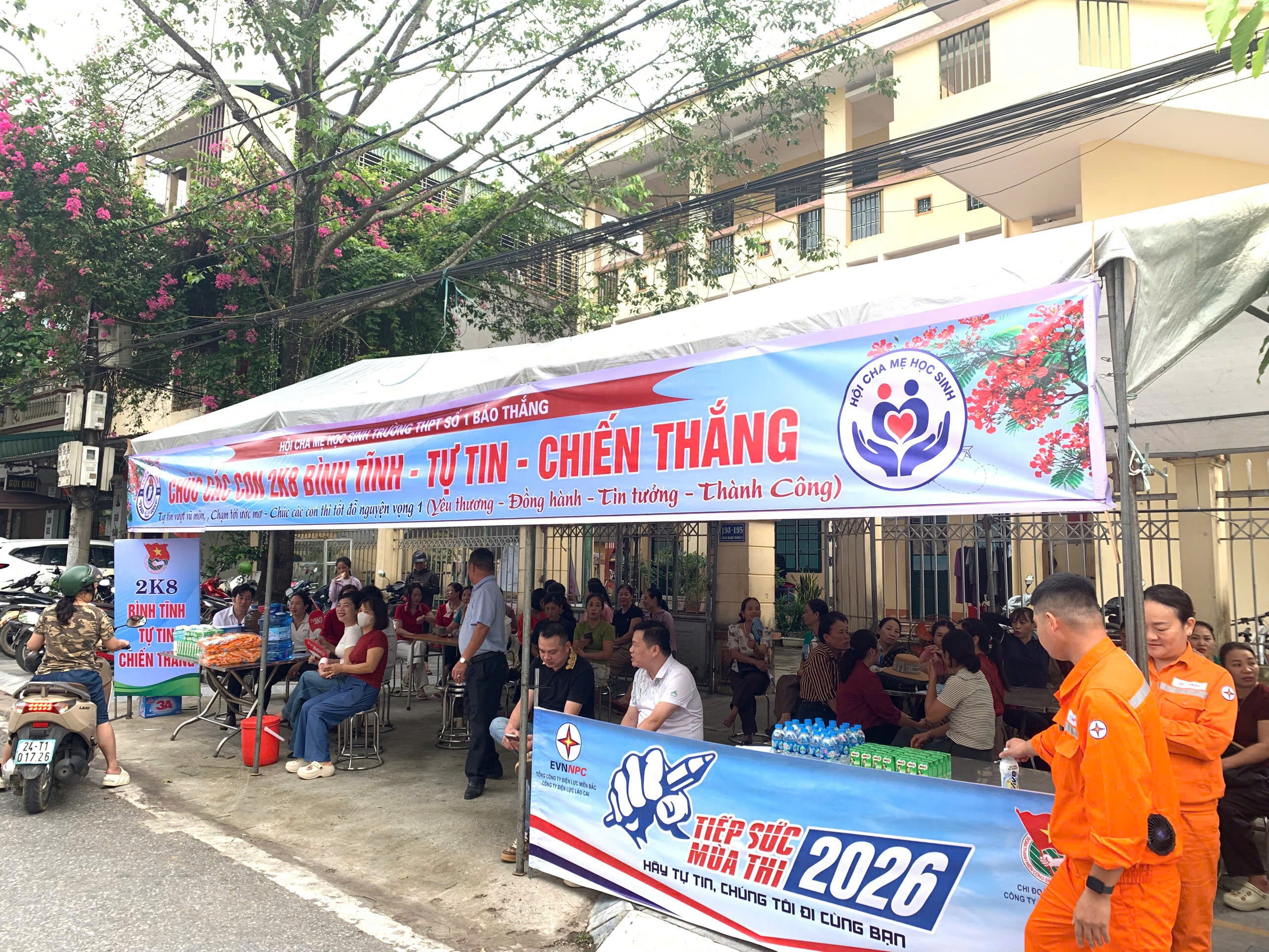 hải ánh 4