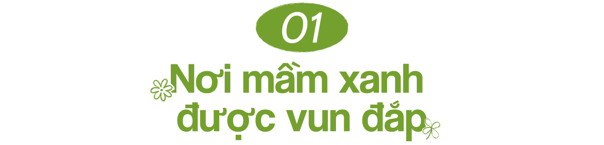 Mô hình 3D mô phỏng khu rừng nhỏ của những người thợ 
