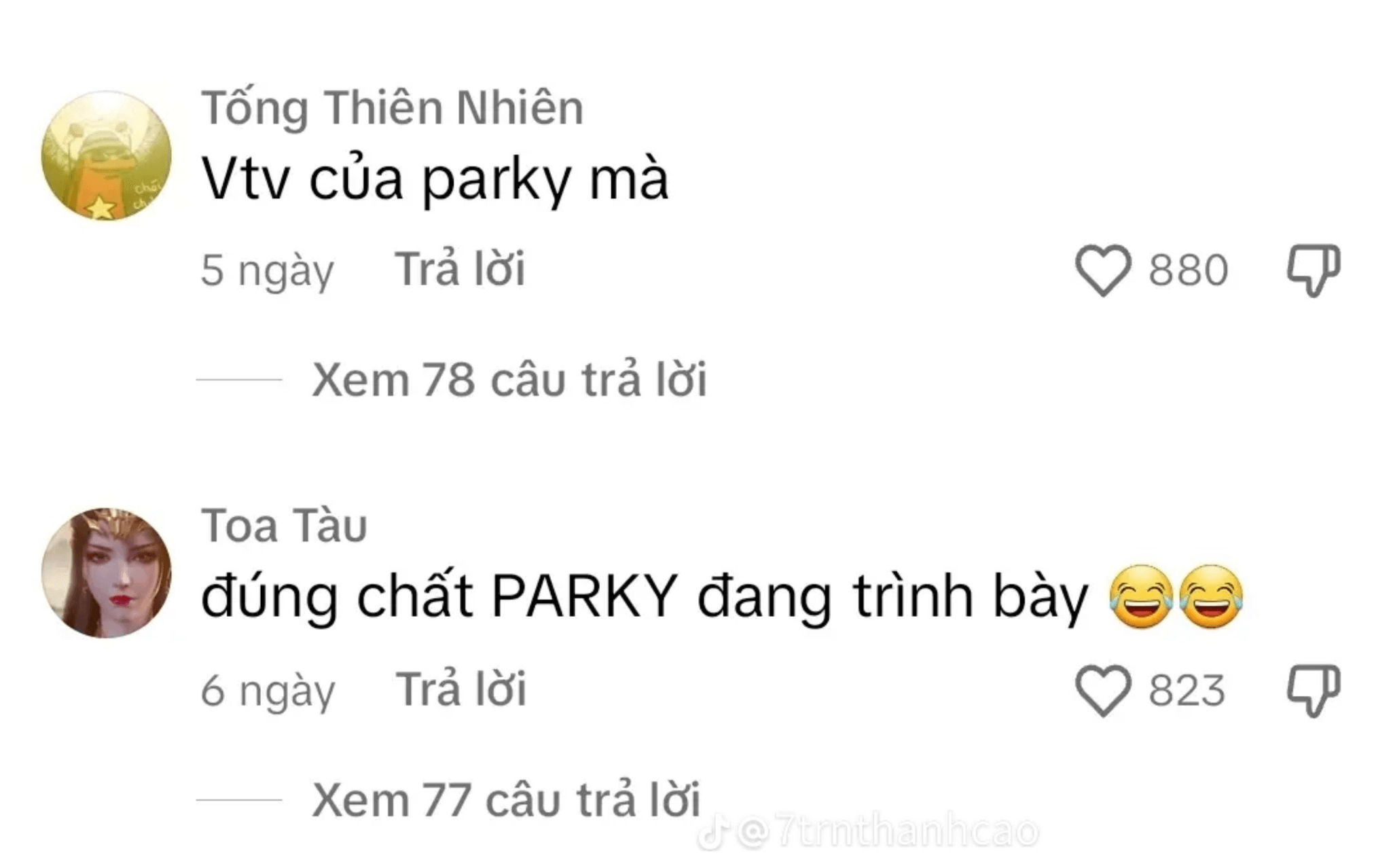 Một số quan điểm được đưa ra như: “Chiến thắng Điện Biên Phủ giành được do sự chủ quan của thực dân Pháp”; “Điện Biên Phủ là sản phẩm mang tính bạo lực cách mạng của chủ nghĩa cộng sản”;... (Ảnh: Chụp màn hình)