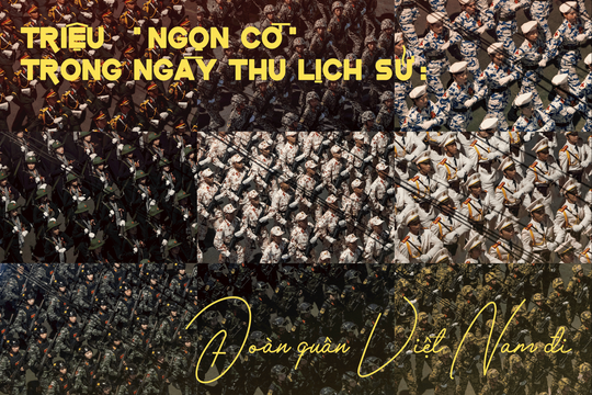 Triệu "ngọn cờ" trong ngày thu lịch sử - Kỳ 2: Đoàn quân Việt Nam đi