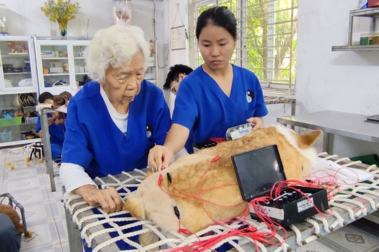 Người thầy dành trọn đời cho những bệnh nhân không biết nói