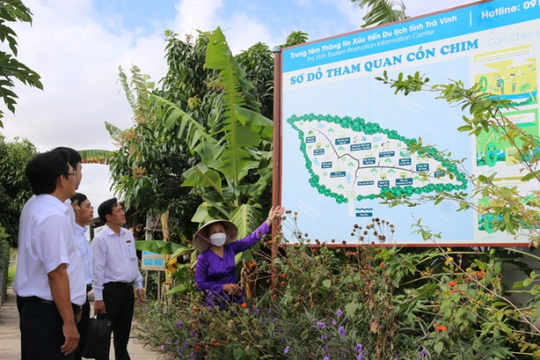 Cồn Chim: Hành trình từ một ốc đảo nhỏ trở thành điểm du lịch độc đáo