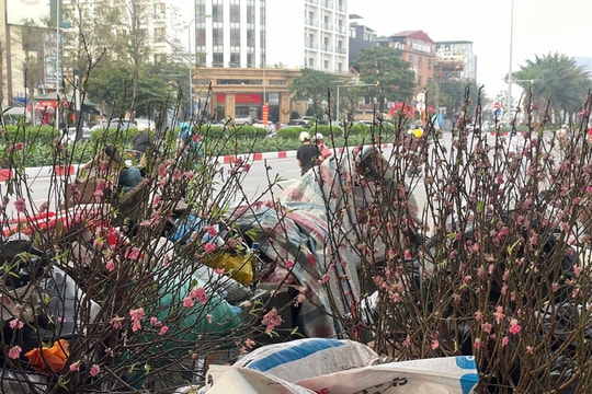 Xây dựng hệ sinh thái số an toàn cho thanh niên Việt Nam: Từ nghiên cứu đến hành động thực tiễn