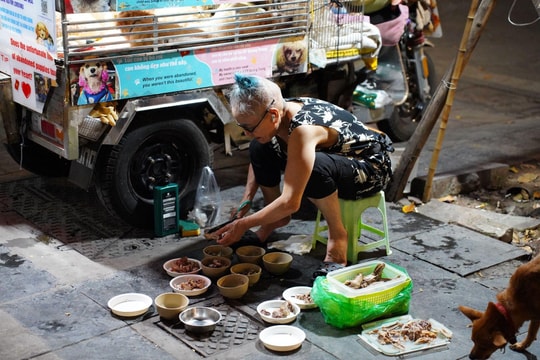 Thú vui tuổi già của nghệ sĩ tóc Kim Quý: Chăm sóc đàn Poodle như con cháu trong nhà