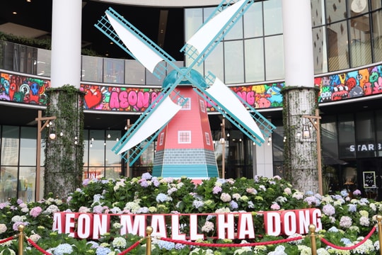 "Biển hoa" khoe sắc rực rỡ phía Tây Hà Nội