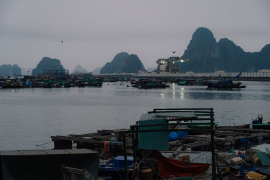 Bãi cảng xuất xi măng Cẩm Phả (Quảng Ninh): Nơi cảng biển thức cùng nhịp mưu sinh