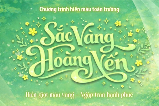 Sắc Vàng Hoàng Yến 2026: Khi những giọt máu nhỏ thắp sáng những điều lớn lao