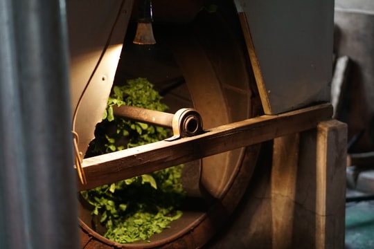 Áp lực thành công sớm của giới trẻ: Chưa kịp trưởng thành đã sợ thất bại