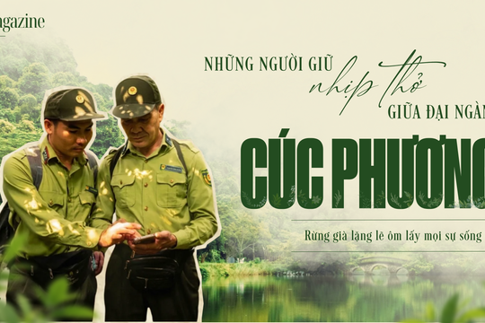 Cúc Phương: Những người giữ nhịp thở giữa đại ngàn