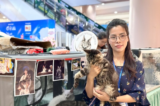 Vững vàng bản lĩnh chính trị trước bối cảnh phức tạp