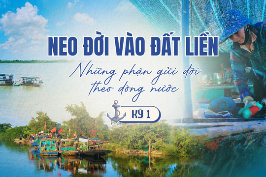 Neo đời vào đất liền: Những phận gửi đời theo dòng nước (Kỳ 1)