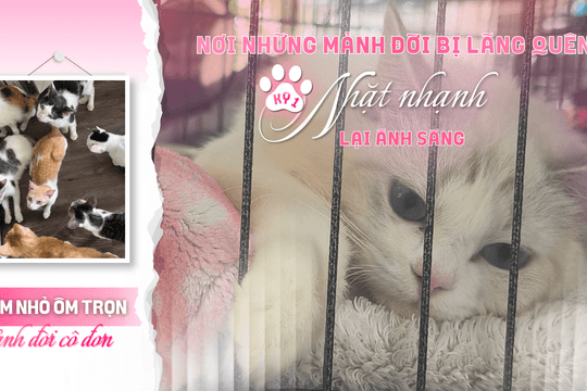 Tổ ấm nhỏ ôm trọn mảnh đời cô đơn - Kỳ 1: Nơi những mảnh đời bị lãng quên nhặt nhạnh lại ánh sáng